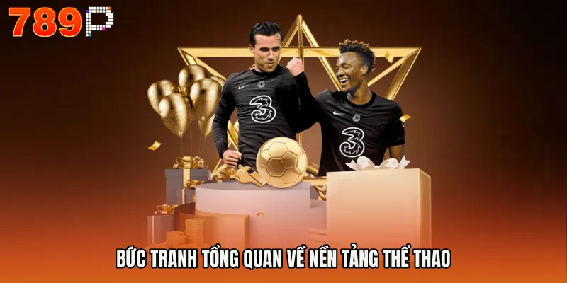 THỂ THAO 789P 1 Bức tranh tổng quan về nền tảng thể thao