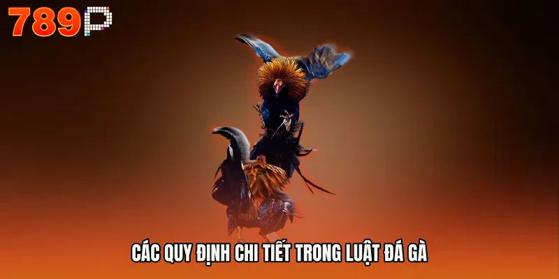 Các quy định chi tiết trong luật đá gà