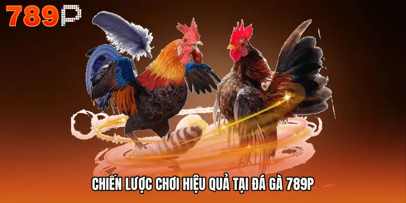 Chiến lược chơi hiệu quả tại ĐÁ GÀ 789P