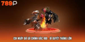 Coi Ngày Đá Gà Chính Xác 100 - Bí Quyết Thắng Lớn