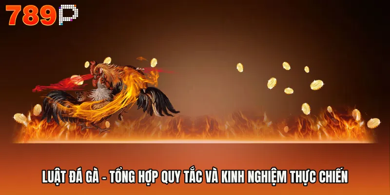 Luật Đá Gà - Tổng Hợp Quy Tắc Và Kinh Nghiệm Thực Chiến