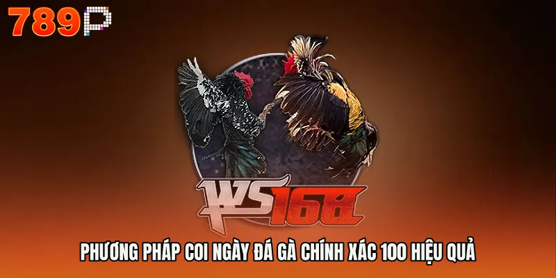 Coi Ngày Đá Gà Chính Xác 100 - Bí Quyết Thắng Lớn 3 Phương pháp coi ngày đá gà chính xác 100 hiệu quả