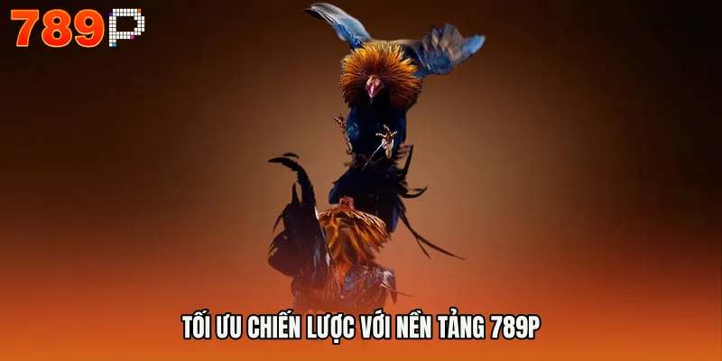 Coi Ngày Đá Gà Chính Xác 100 - Bí Quyết Thắng Lớn 4 Tối ưu chiến lược với nền tảng 789P