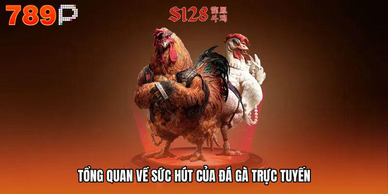 Tổng quan về sức hút của đá gà trực tuyến